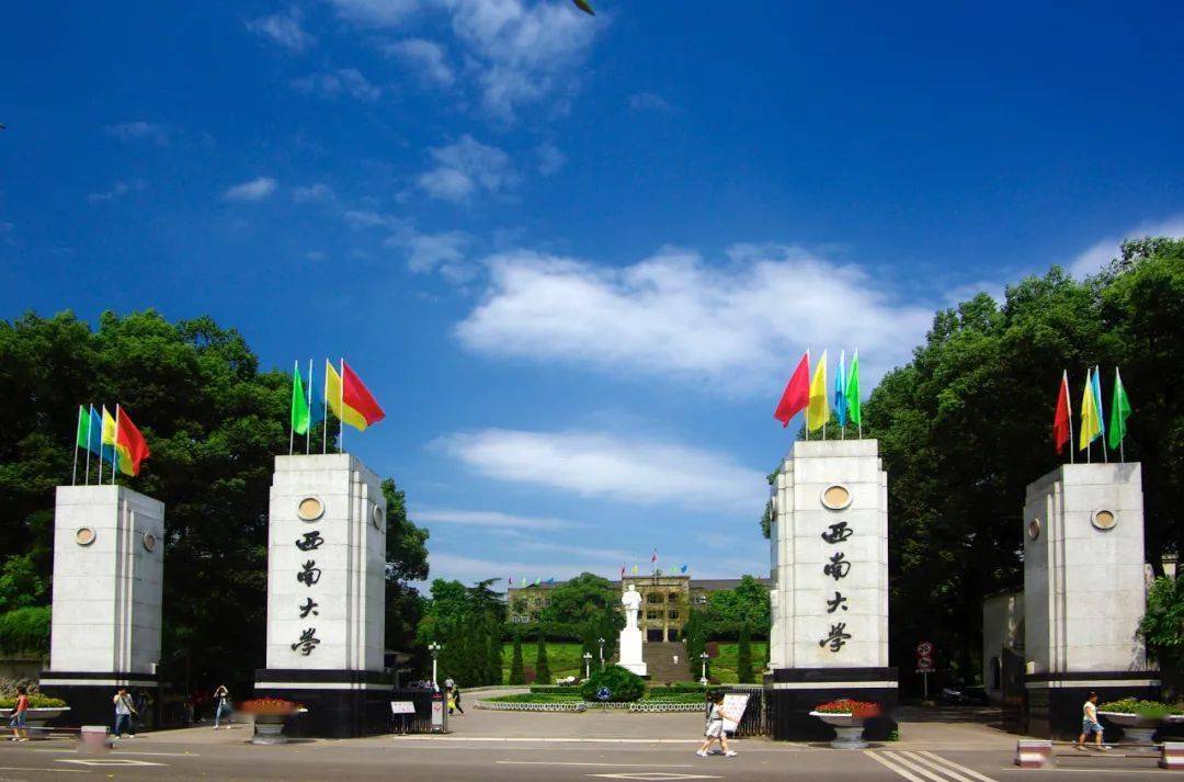 21年招办主任来帮忙丨西南大学招生就业处处长李栋宣访谈 教育