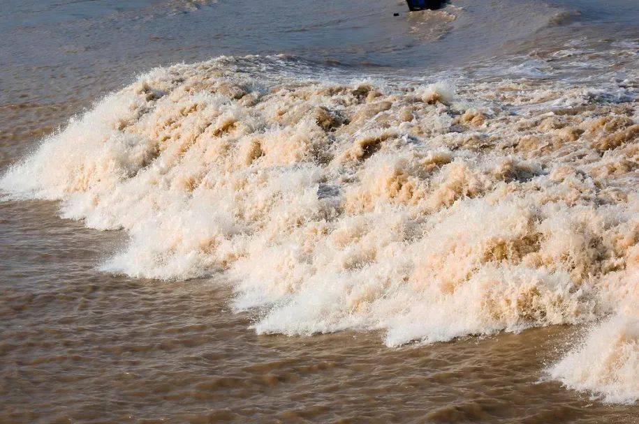 品诗词 游中国 | 跟随刘禹锡赏"八月涛声吼地来"的钱塘潮_浙江