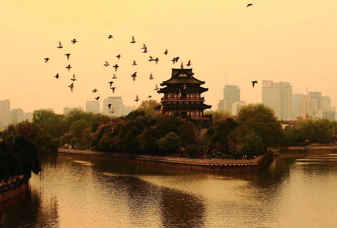 东坡公园(舣舟亭)地处常州市区东部,原名东郊公园,占地2.