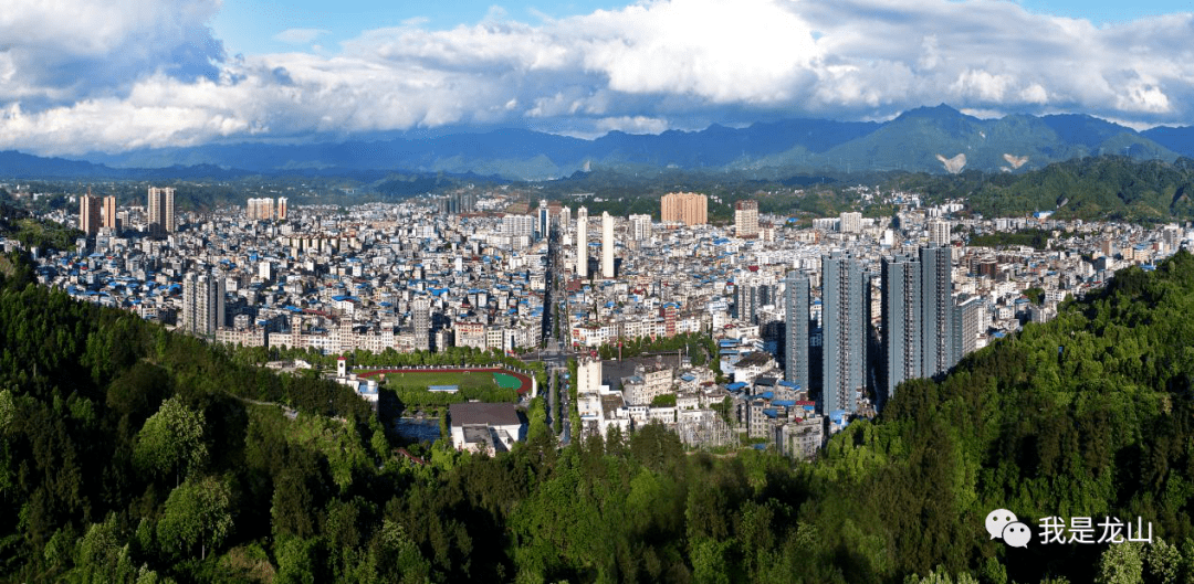 龙山为什么这么红