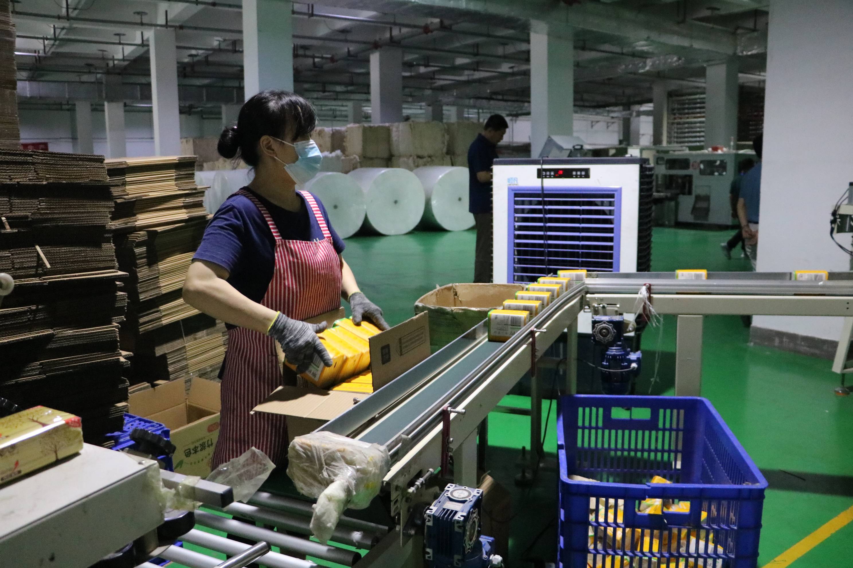 赤天化纸业公司:竹木循环 绿色生产