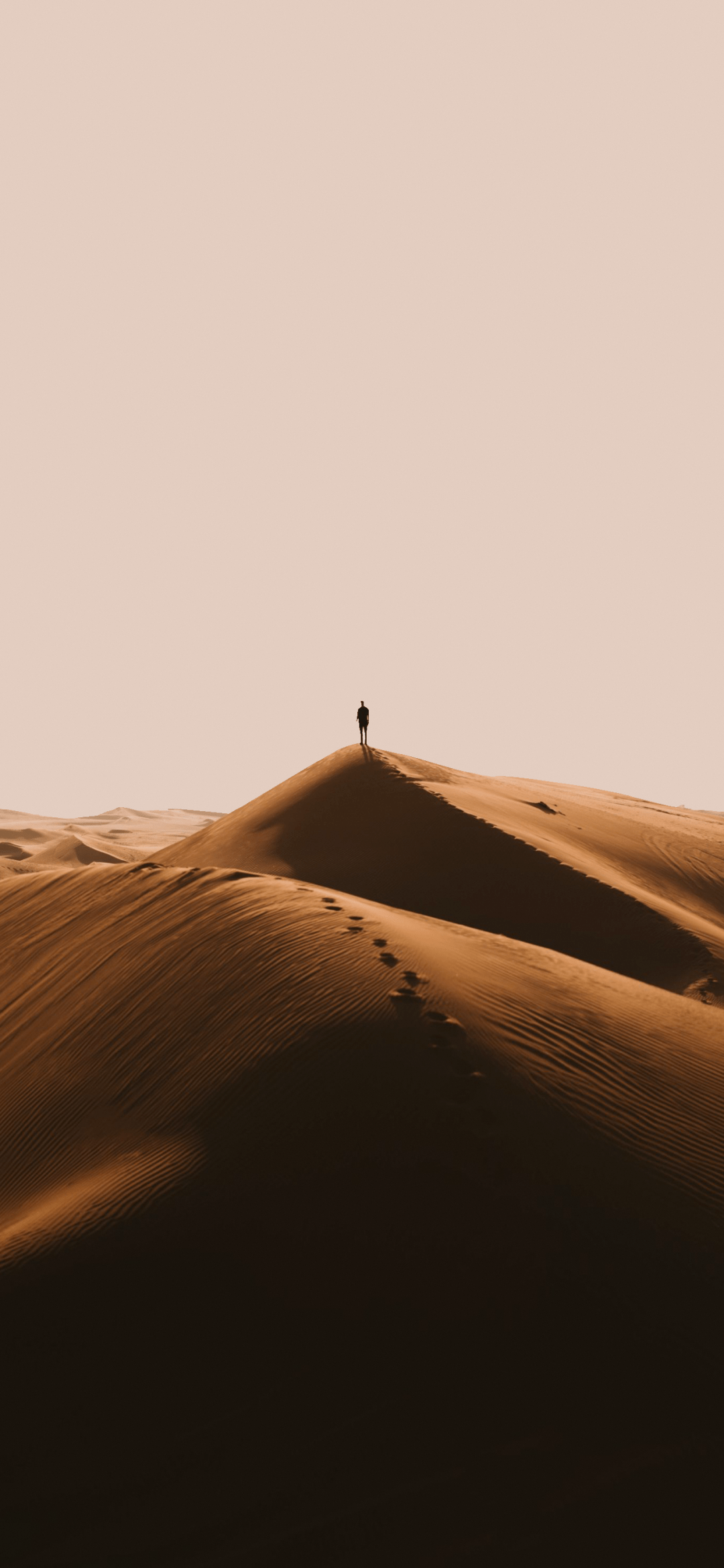 沙漠图片高清 孤独图片