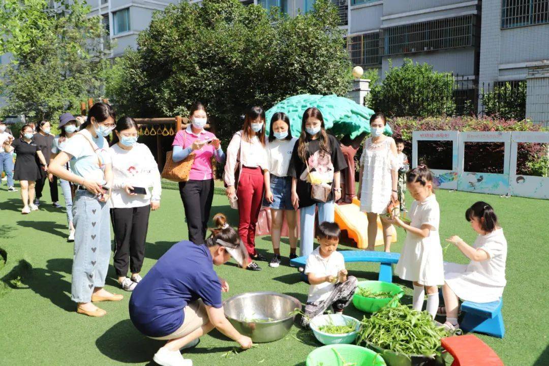 全面推進課程遊戲化建設,提升幼兒園辦園質量,推動學前教育高質量發展