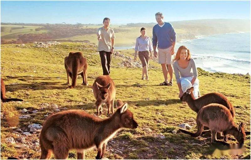 澳洲城市排行_2020澳洲宜居城市排名出炉!阿德莱德跃居榜首!(2)