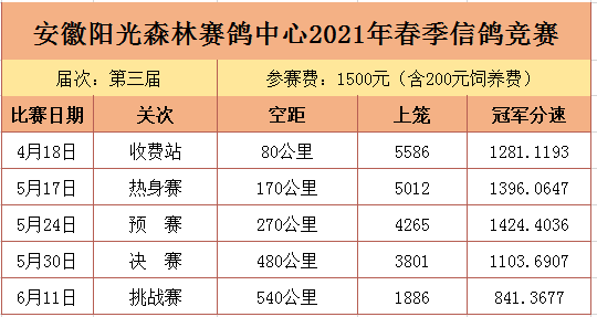 一路拼搏逆袭成王安徽阳光森林冠军近照