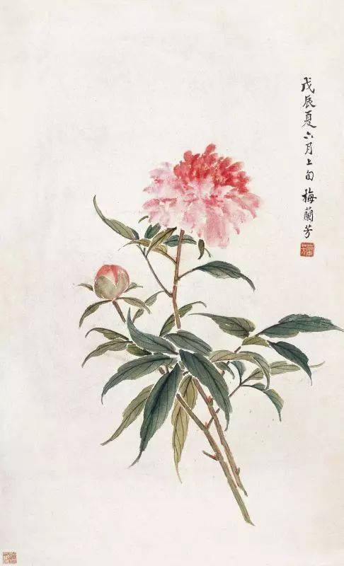 梅兰芳 花鸟梅兰芳 秋意浓 镜框梅兰芳国画欣赏以上小楷书法都是京剧