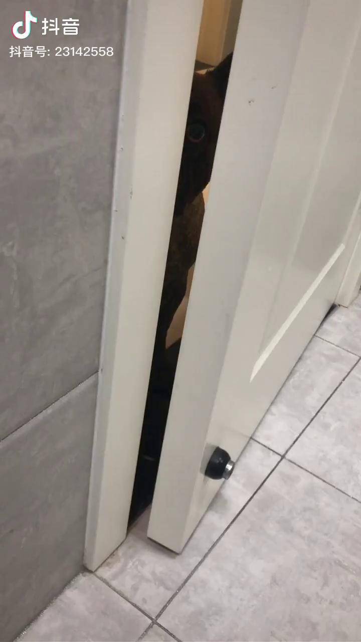 半夜起来上厕所门缓缓的开了一条缝太吓人了