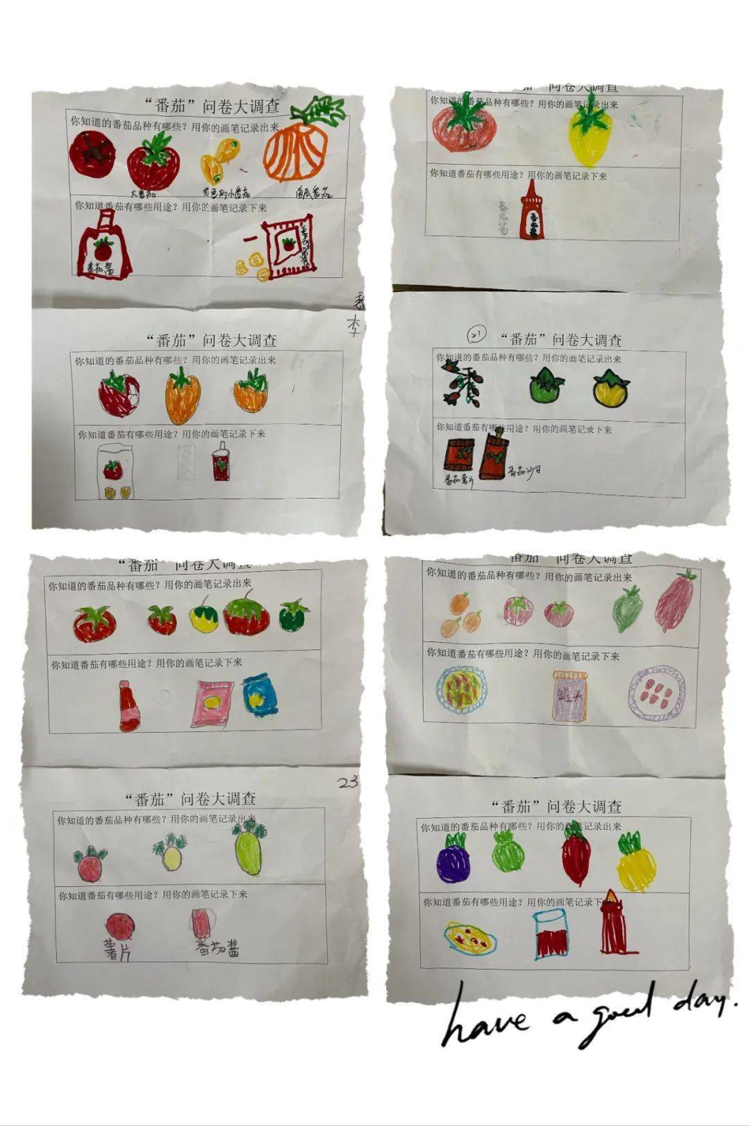 【园本课程·果然是夏天】小番茄,大视界