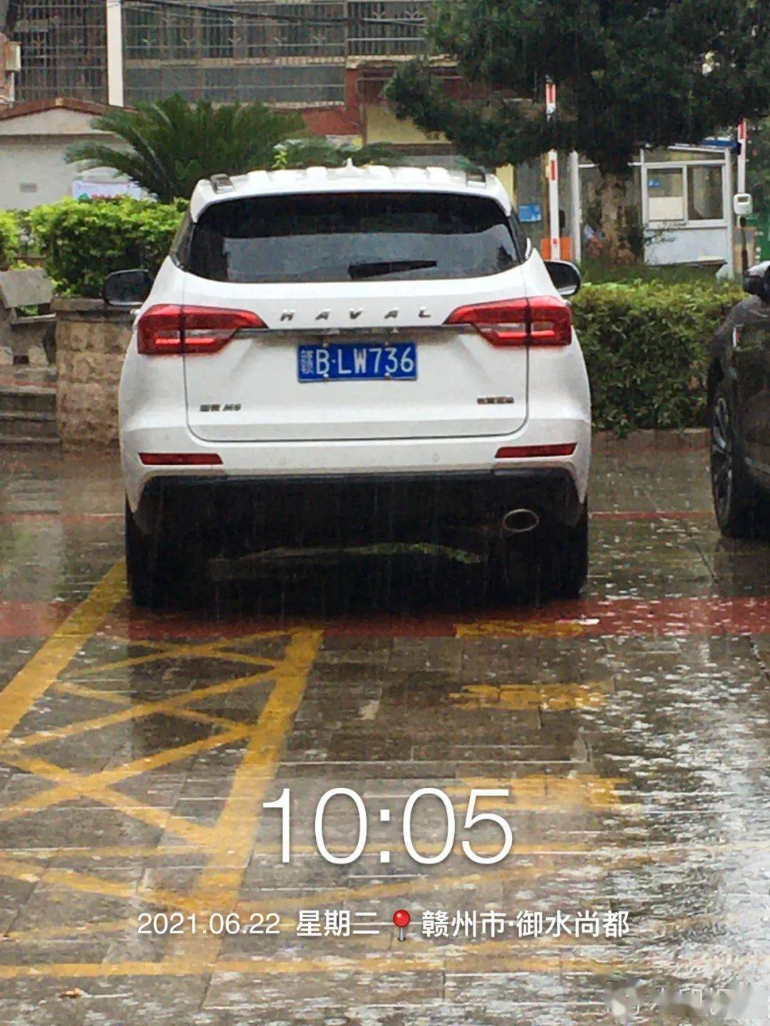 车牌号:  赣b lw736