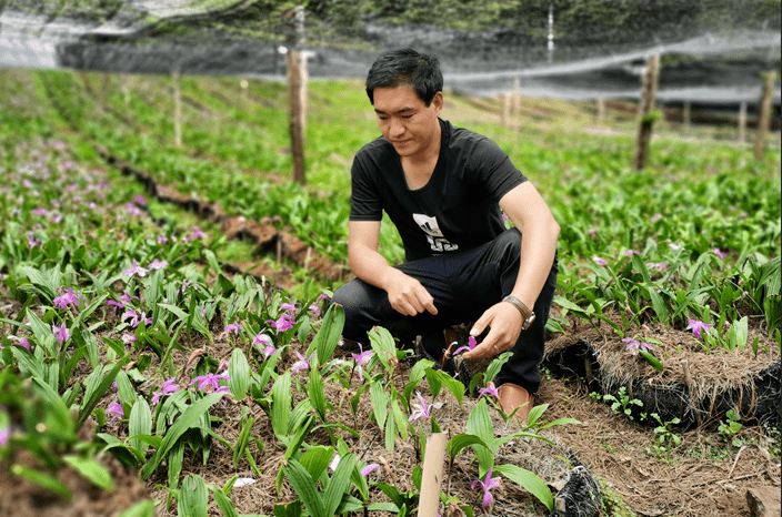花椒树 致富大产业(柴峻峰 摄)苹果基地万亩马铃薯种植基地(柴峻峰 摄