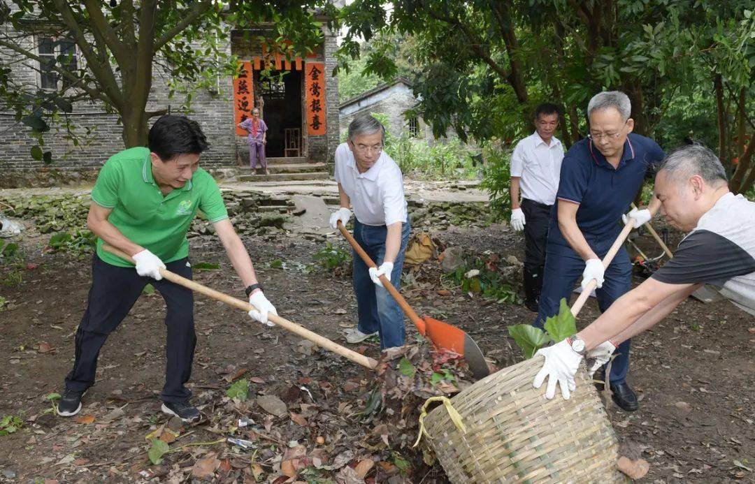 落叶满地,垃圾成堆林道平,温湛滨,杨文龙等市领导和党员干部,志愿者