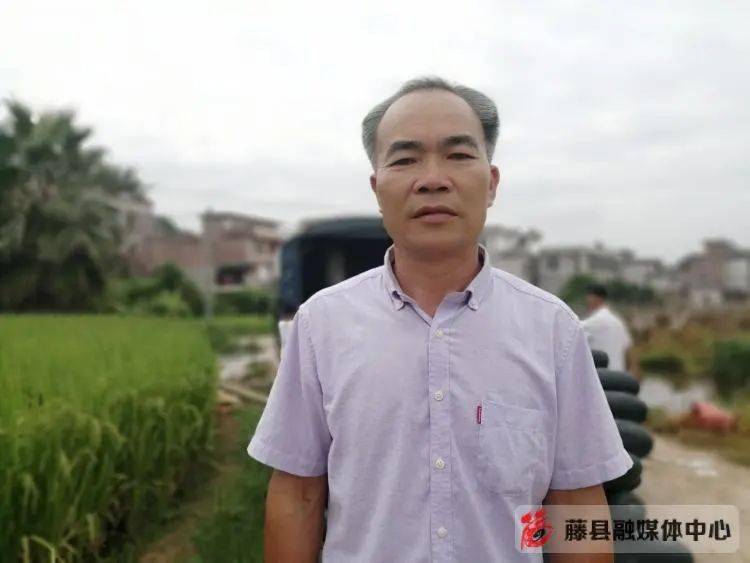 金鸡镇大坟村党委书记 卢丕强:今年种植冬瓜大约200亩,估计产量约320