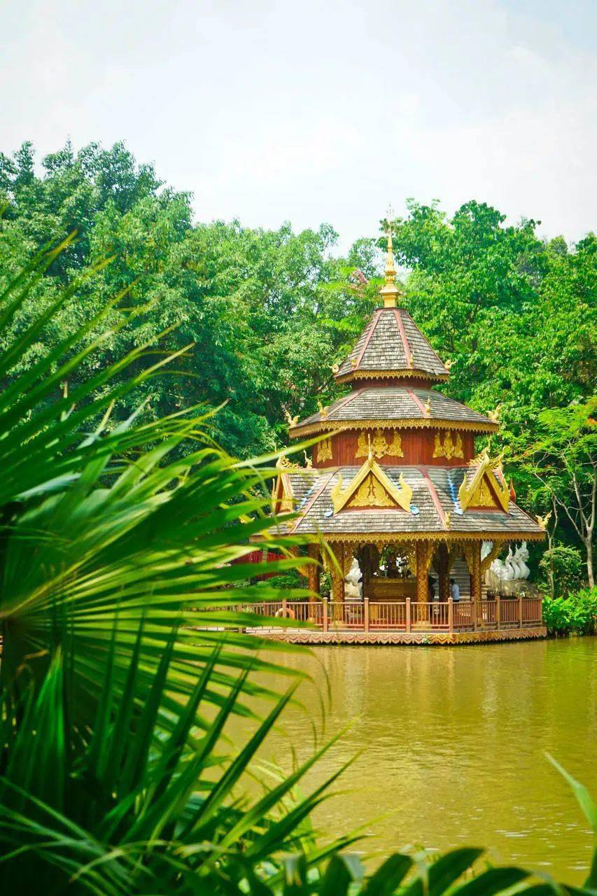 不出国也能感受东南亚风情,童话般的热带园林