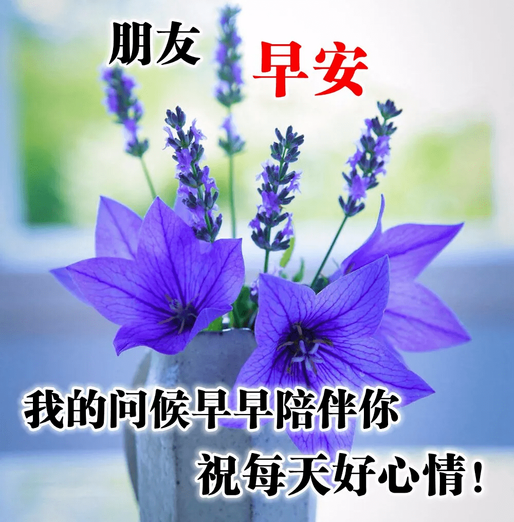 天來了清晨早上好唯美動態祝福圖片帶字