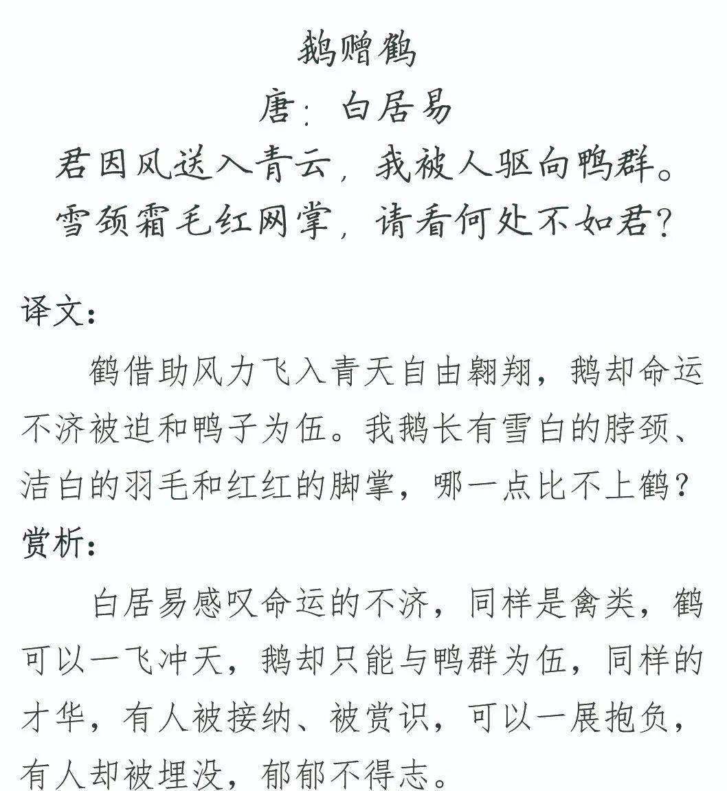 每日一诗鹅赠鹤白居易1211