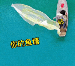 抖音近期最火的表情包是这些