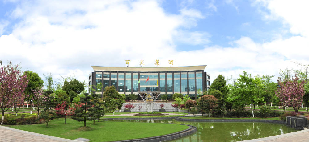 贵州百灵扩能技改:投资8亿 目标过半_公司