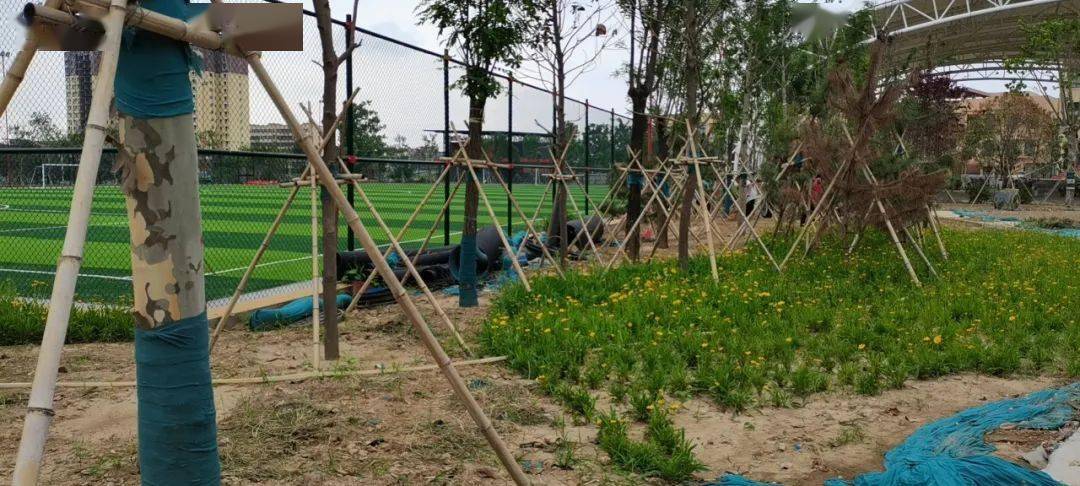 實拍沈丘運動公園快要建好了快看離你家近嘛