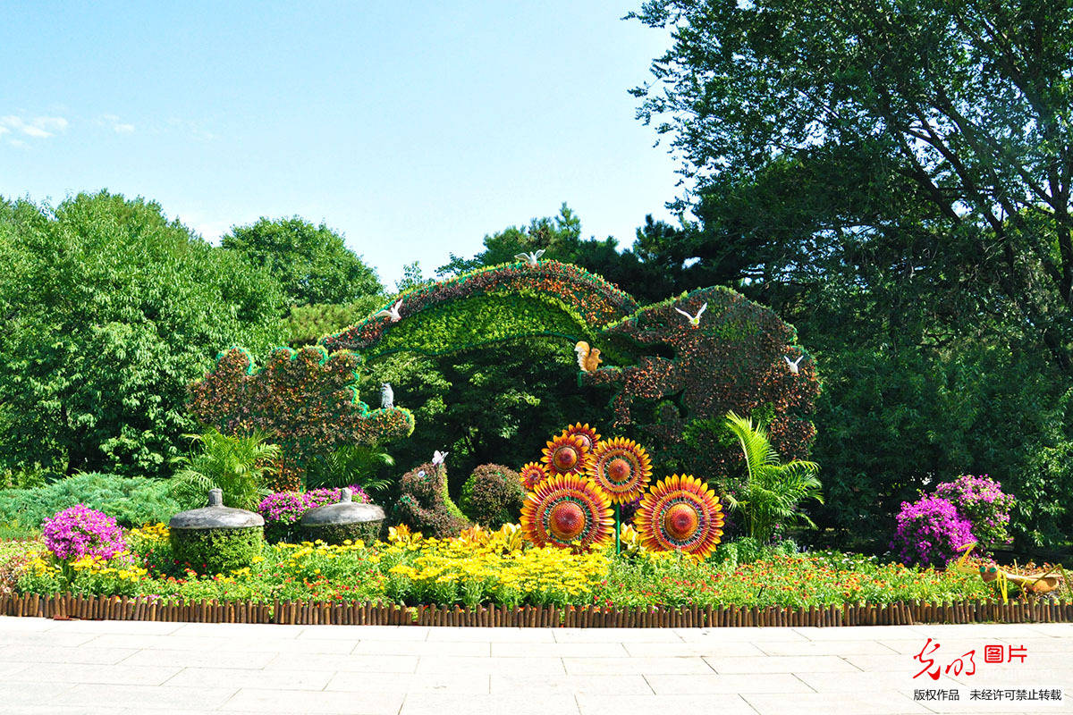 Flower|Flower decorations arranged to welcome the CPC centenary