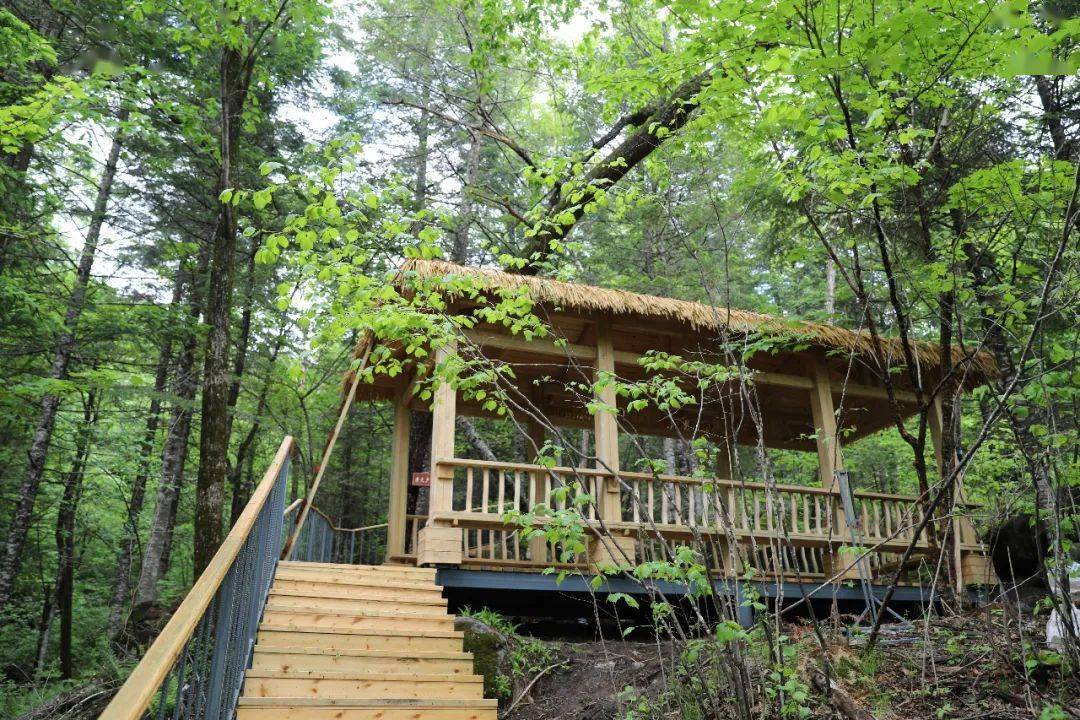 鹤岗森林游第二站金顶山地质公园7月2日盛大开园约起