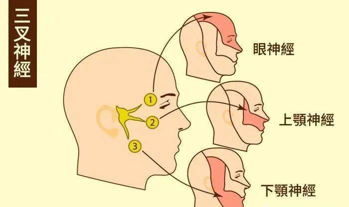 面痛三叉神經痛的12種中醫外治法