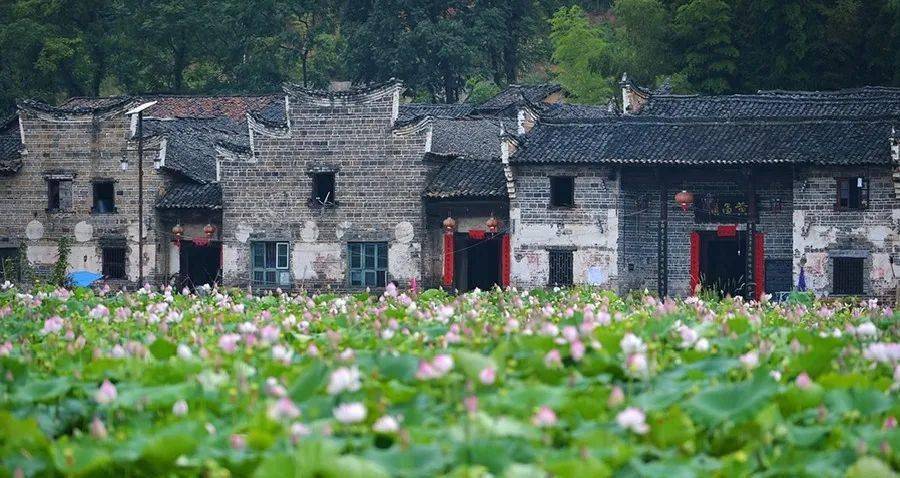 坐落在罗仙岭山脚下的流华湾古村,至今保存了400多间完整的明清时期