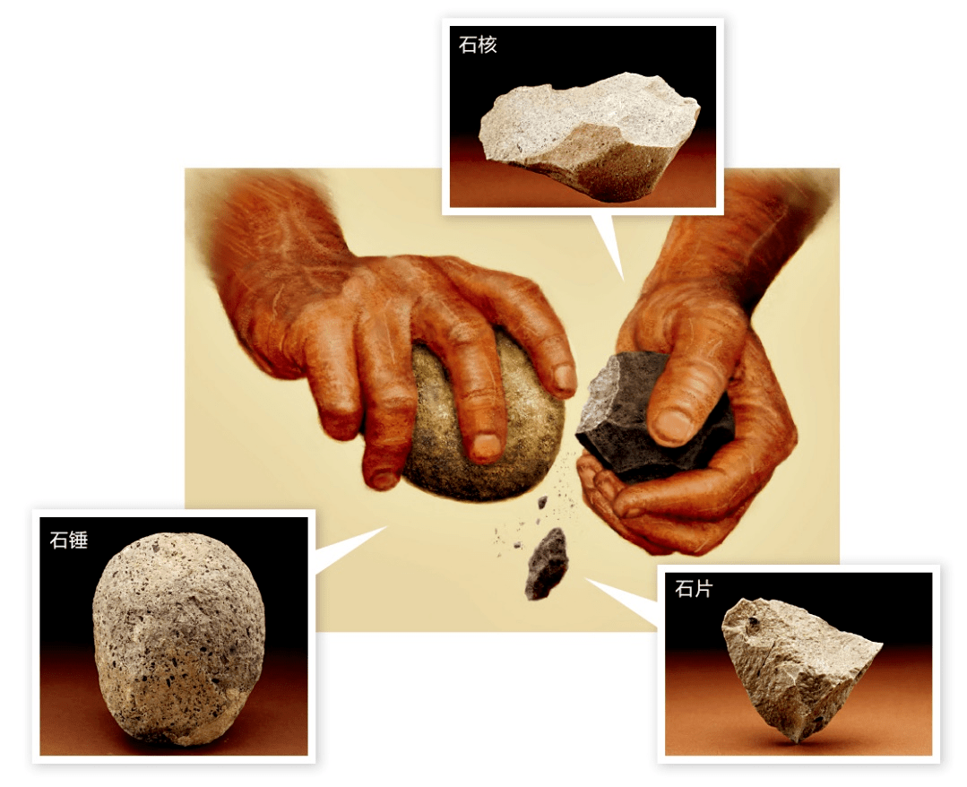 最早的工具制造者是如何打制石器的.7.