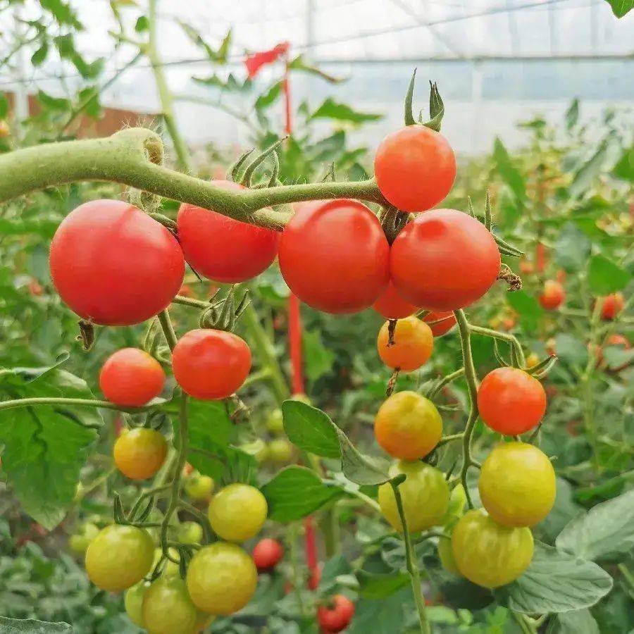 理想|不想带娃，只想躺平？亲子酒店来一波～