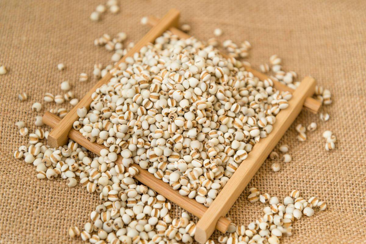 脸出油,痘痘多,易怒是湿热体质捣的鬼?调理试试4个薏米食疗方_功效