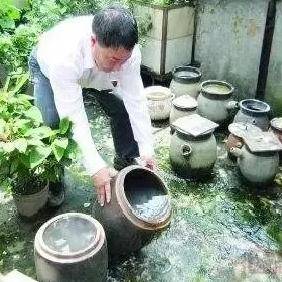 病毒|广东疾控提醒！7月要重点防范4种病