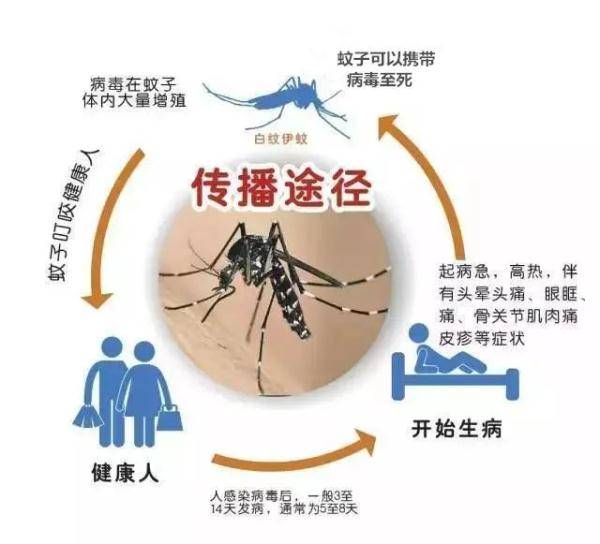 病毒|广东疾控提醒！7月要重点防范4种病
