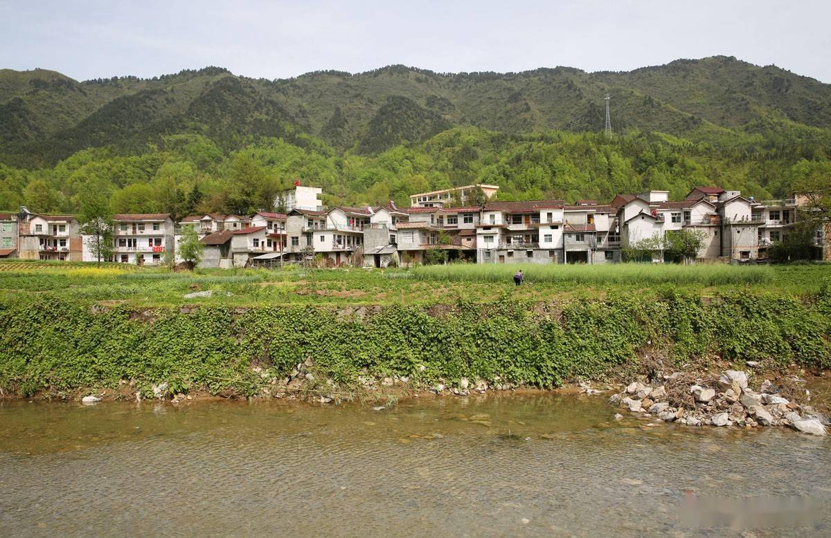 陕西汉中市镇巴县观音镇大市川村,隐藏在大巴山深处,一栋栋民房依山