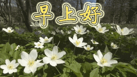 早晨的空气新鲜无比,早晨的心情舒畅无比,祝你早安,早晨好_祝福