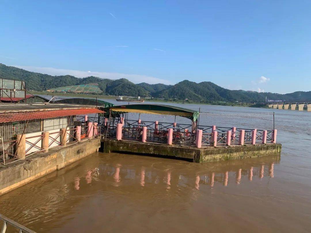 梧州又要发洪水了凌晨最高水位1535米河西老码头还有1米不到要被淹了