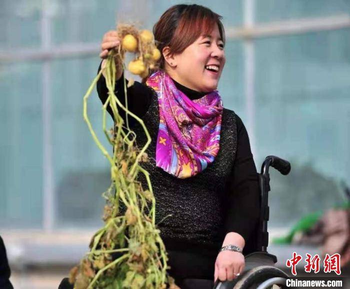 "中国薯都"甘肃定西以薯创剧 乡土影视记"向上"人物原型_李晓梅