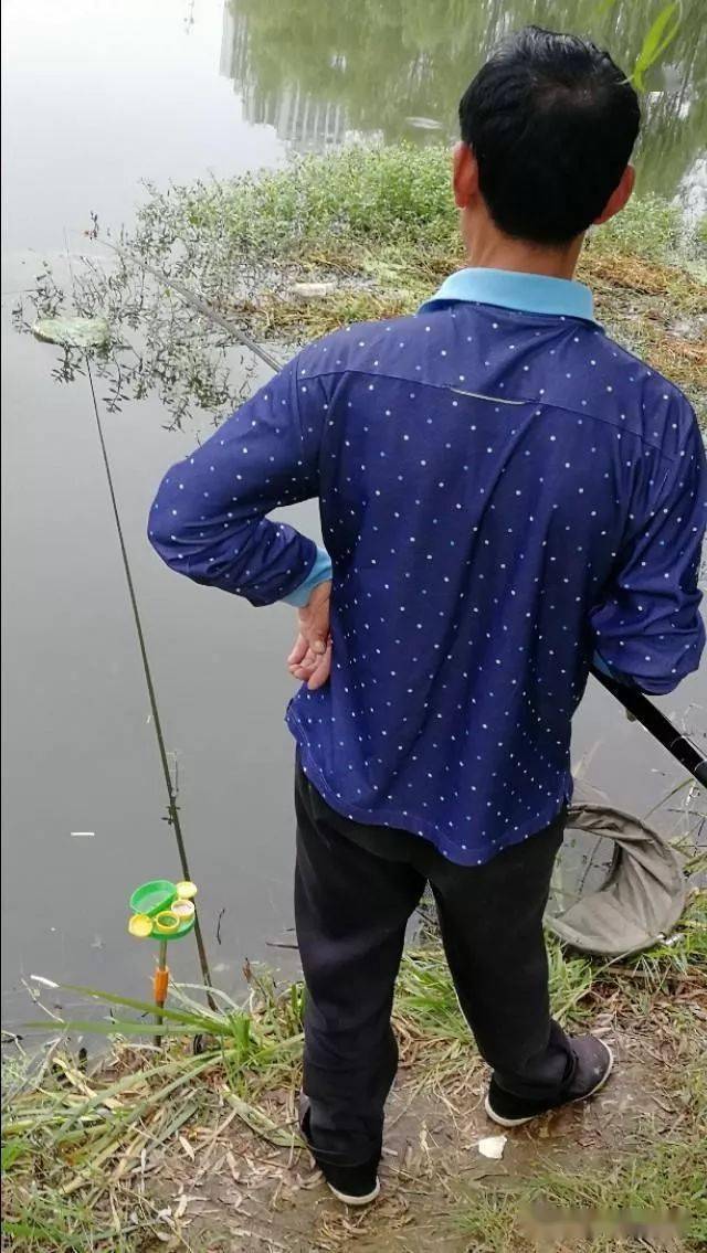 教你一招无漂短线钓法,运用得当,渔获可比台钓多得多