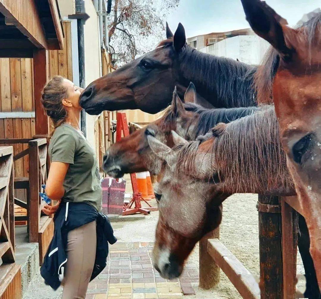 马吃什么才能保持健康