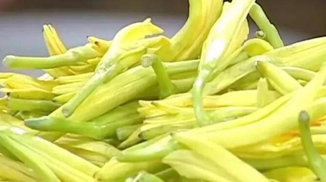 颜色|吃黄花菜前，这3件事要先了解！