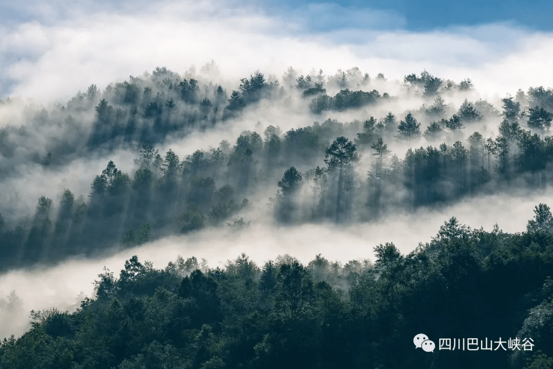 空山新雨后雨后的巴山形成一幅水墨画卷