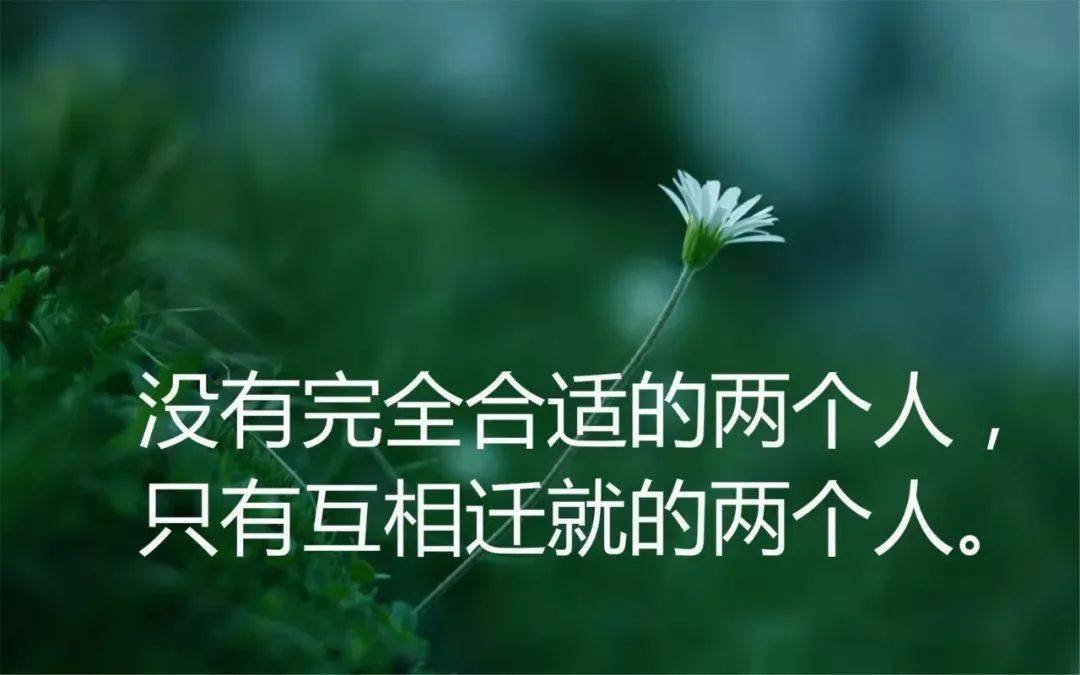 人生经典语录15个 c4b7b19a7bb64b7e8559a69bf648d734.jpeg