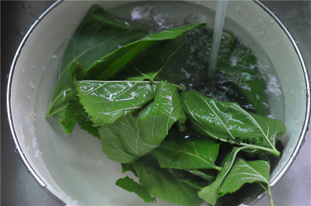 经常上火多吃点,清肺润燥还明目_桑叶