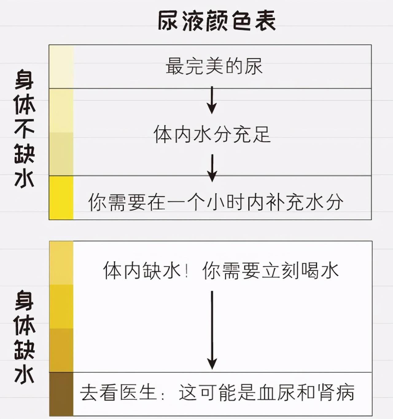 而尿液颜色,就是反应孩子身体是否缺水的重要指标,当孩子体内水分不足