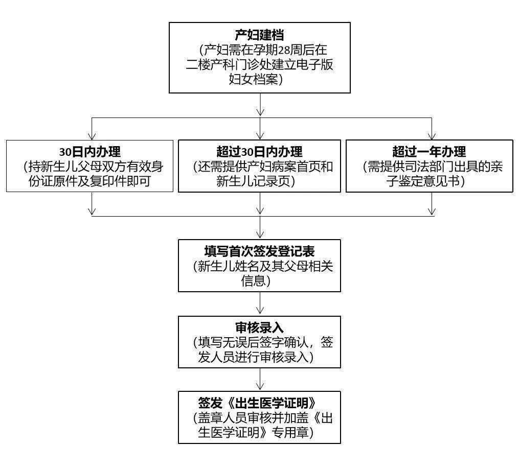 准生证流程图图片