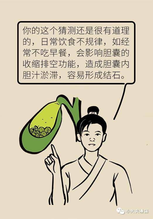 胆汁|不是谣言，长期不吃早饭，真有可能得这种病