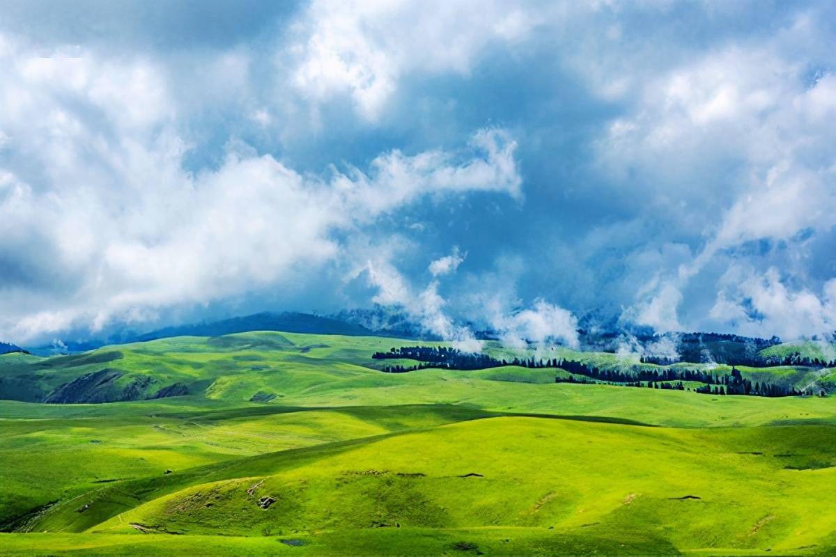 新疆尼勒克县 阿克塔斯牧场_布拉克