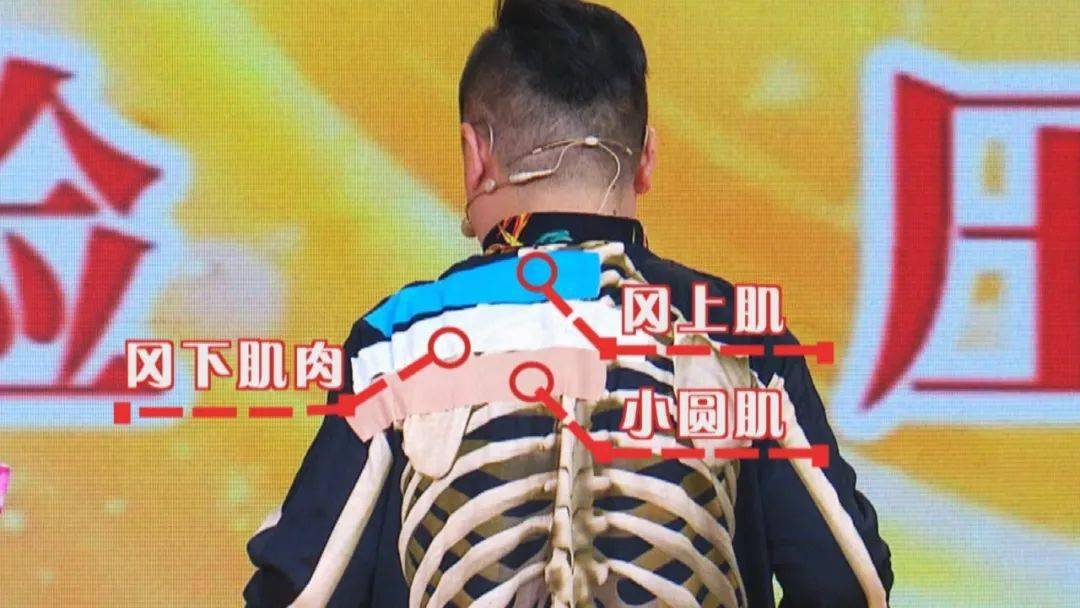 专家带来中医特色疗法:抓筋治疗,开返魂锁!效果如何,一试便知!