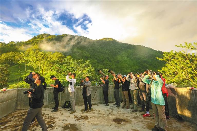 活动|亲子游 青春季 “海南夏天‘童’Young嗨”暑假推广即将启幕