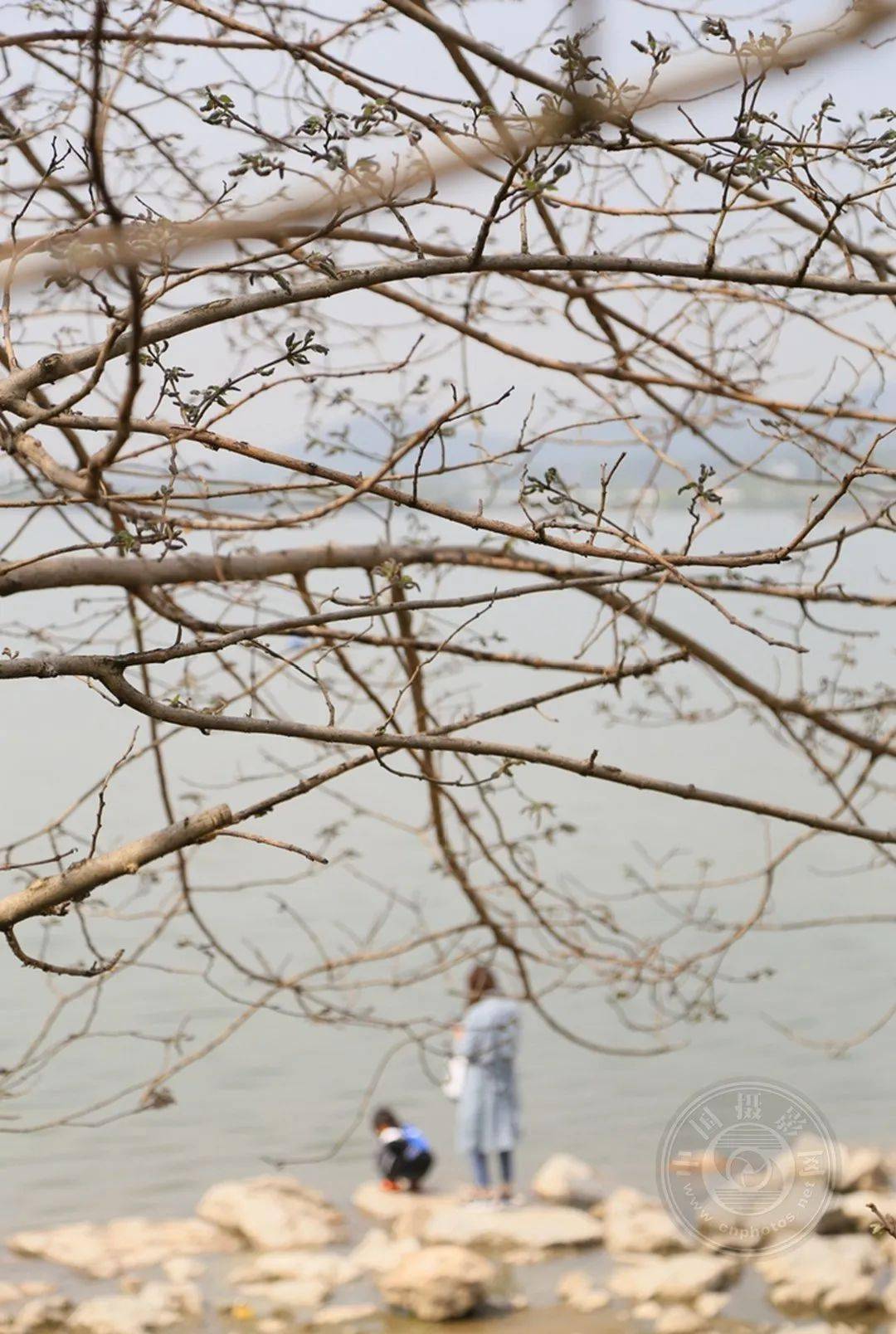 野草|中国摄影网签约摄影师深蓝：多余的地方