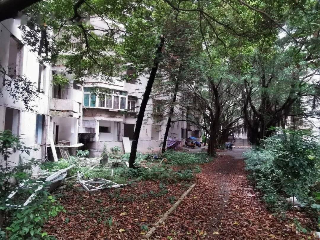 深圳南山旧改南苑新村万科重点项目旧改重启签约率95带南山实验学位