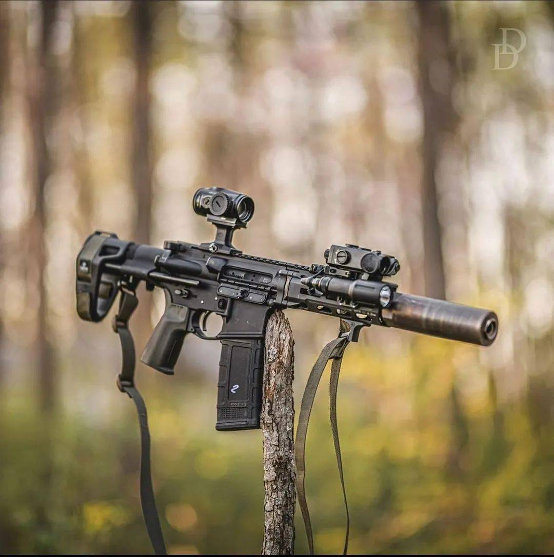 枪械酷图让男人怦然心动的除了她还有它